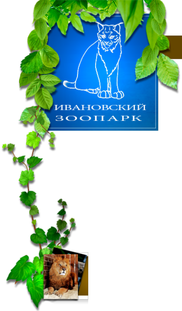 Логотип компании Ивановский зоопарк