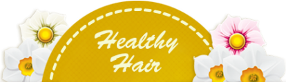 Логотип компании Healthy Hair