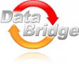 Логотип компании Data Bridge