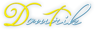 Логотип компании ДомТрик