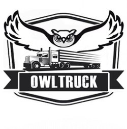 Логотип компании OwlTruck