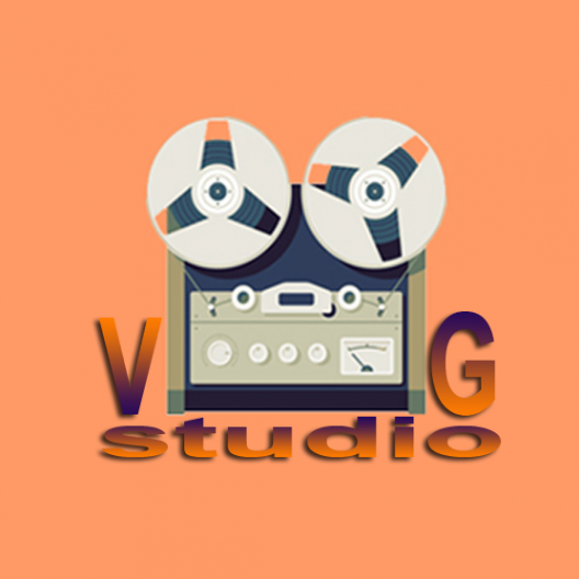 Логотип компании VG-Studio